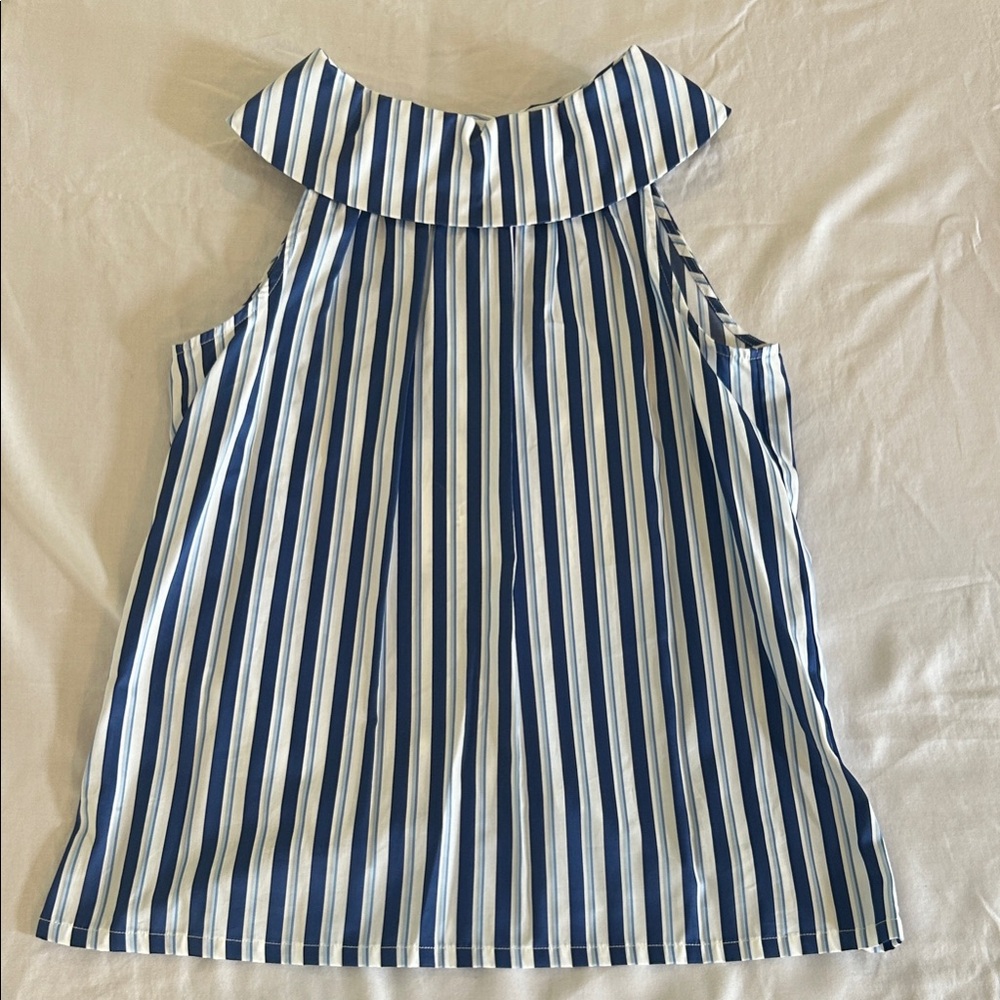 Sara Campbell Blue and White Striped Sleeveless Top